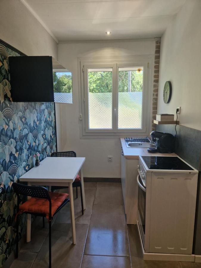 Appartement Independant Dans Maison Avec Jardinet, Au Calme Sérézin-du-Rhône Exterior foto